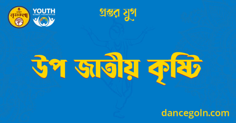 উপ জাতীয় কৃষ্টি